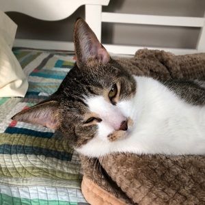 Meet your Posher, Christine